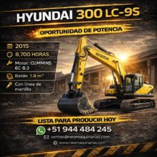 Excavadora Hyundai 300 LC-9S