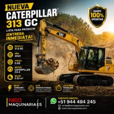 Excavadora CAT 313 GC